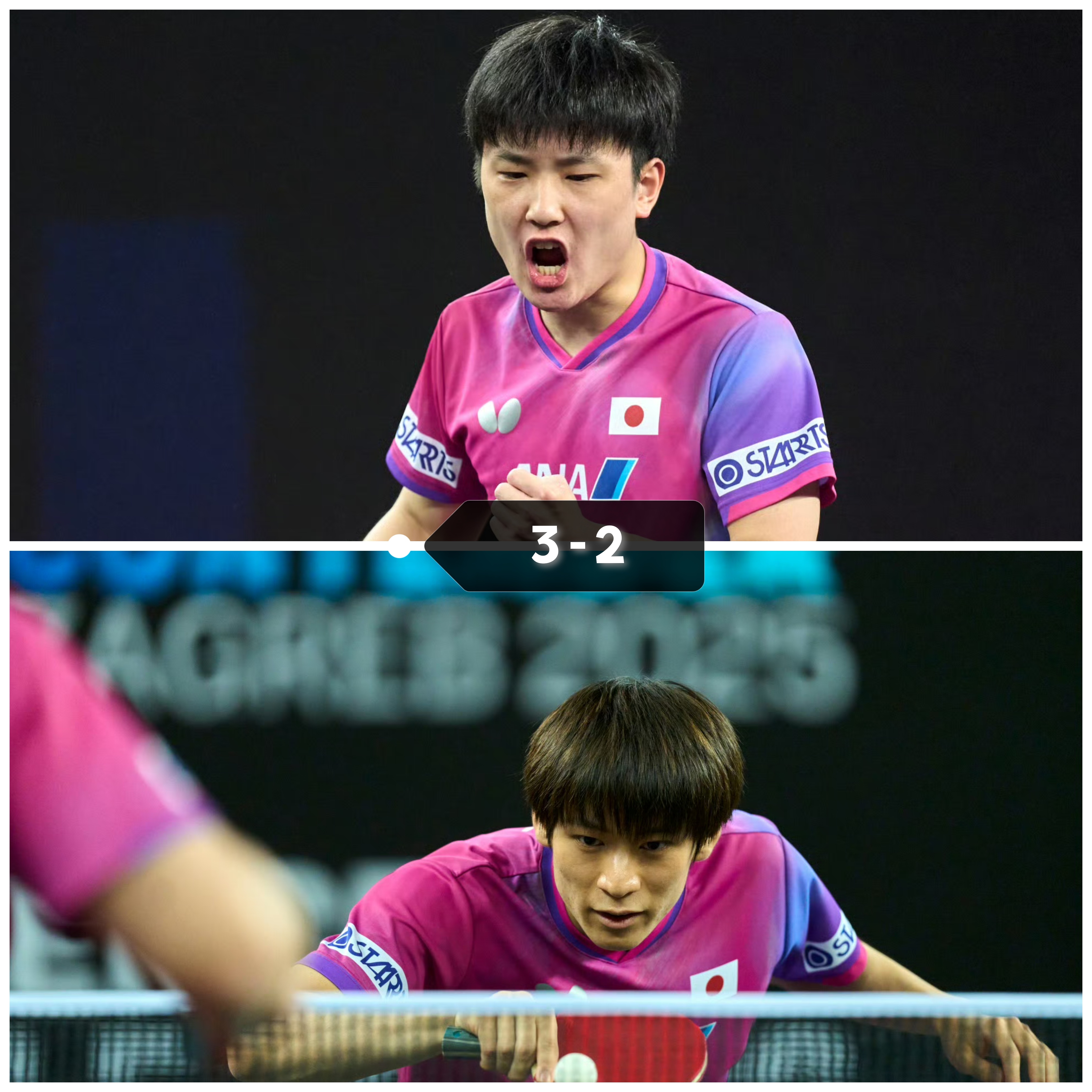 波兰队险胜奥地利队，张本智和关键制胜