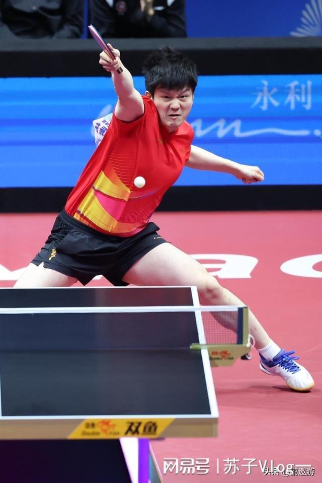 中国队横扫奥地利队,樊振东扛起全队 中国队横扫奥地利队,樊振东扛起全队